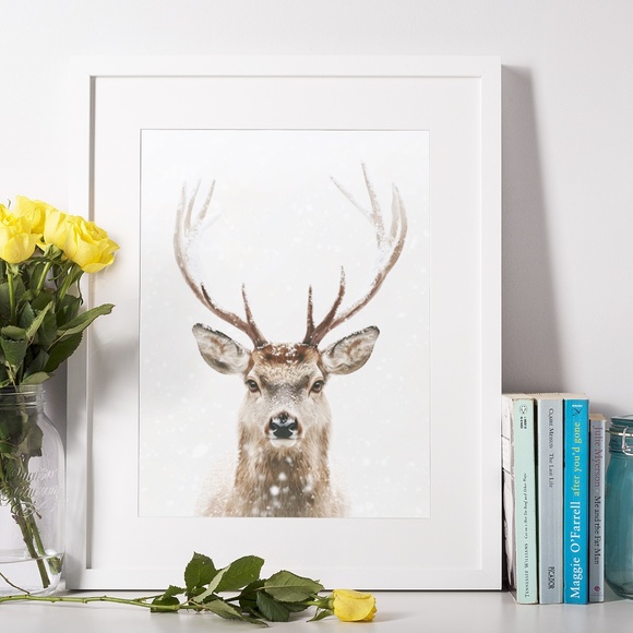 Deer Wall Art Print Poster Unframed - Watercolor Animal Print - Picture 8 of 8